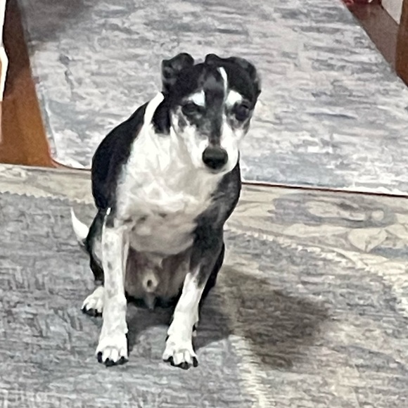 ALL PRICES NEGOTIABLE - Picture 9 of 13